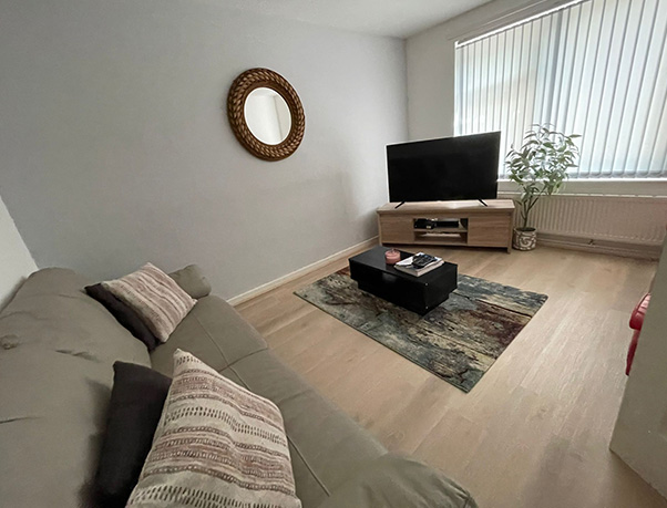 cozy living room with television mirror and indoor plant featuring two decorative pillows and area rug
